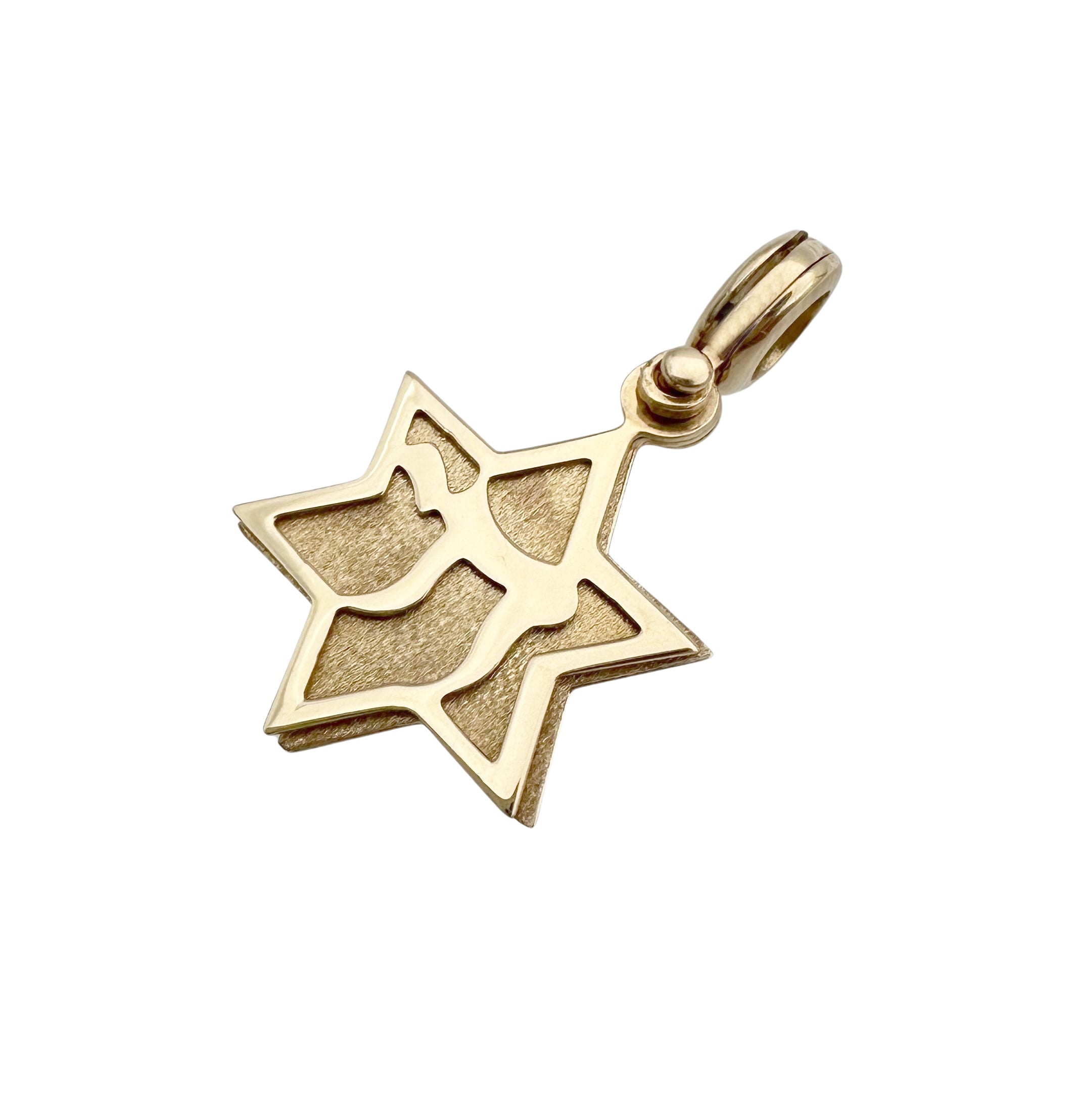 14k Gold 3 in 1 Gold Chai & Star of David Pendant