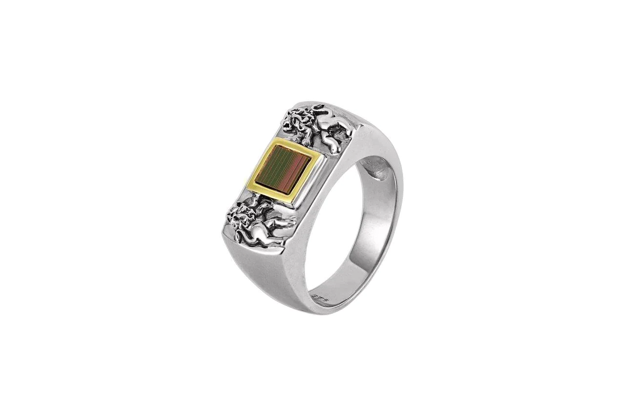 Lion of Judah Ring Silver & 9K Gold - Jerusalem Nano Bible Torah