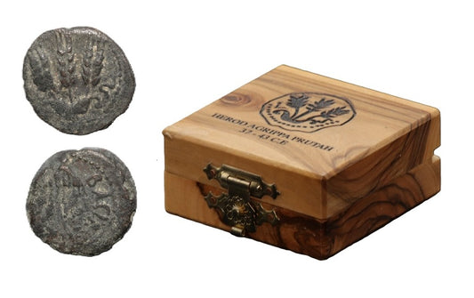 Herod Agrippa Prutah – Ancient Judean Coins (37–43 C.E.) with Display Box