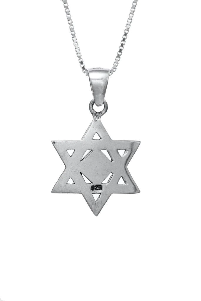 Star Of David with Jerusalem Nano Bible Torah Pendant Bricks Necklace 925 Silver .