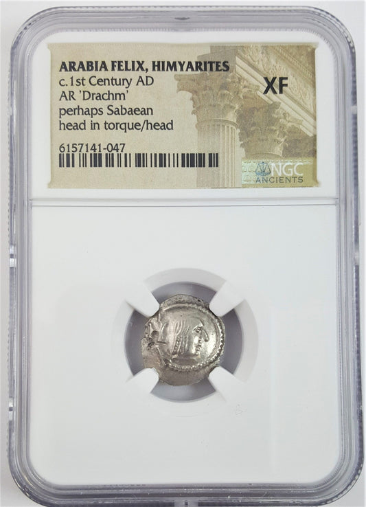 Arabia Felix Himyarites 1st Century (NGC slab)(XF)