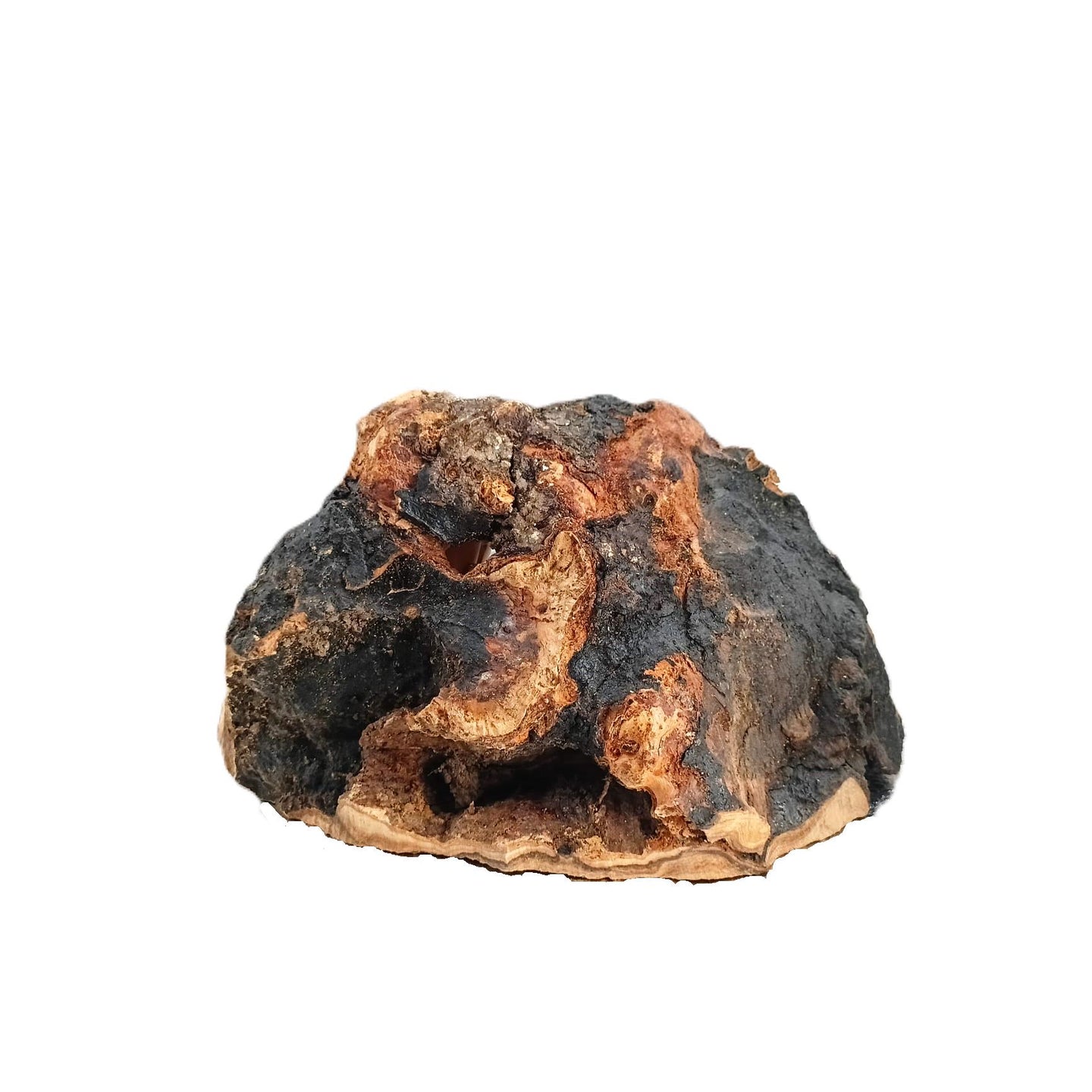 Olive Wood Nativity scene