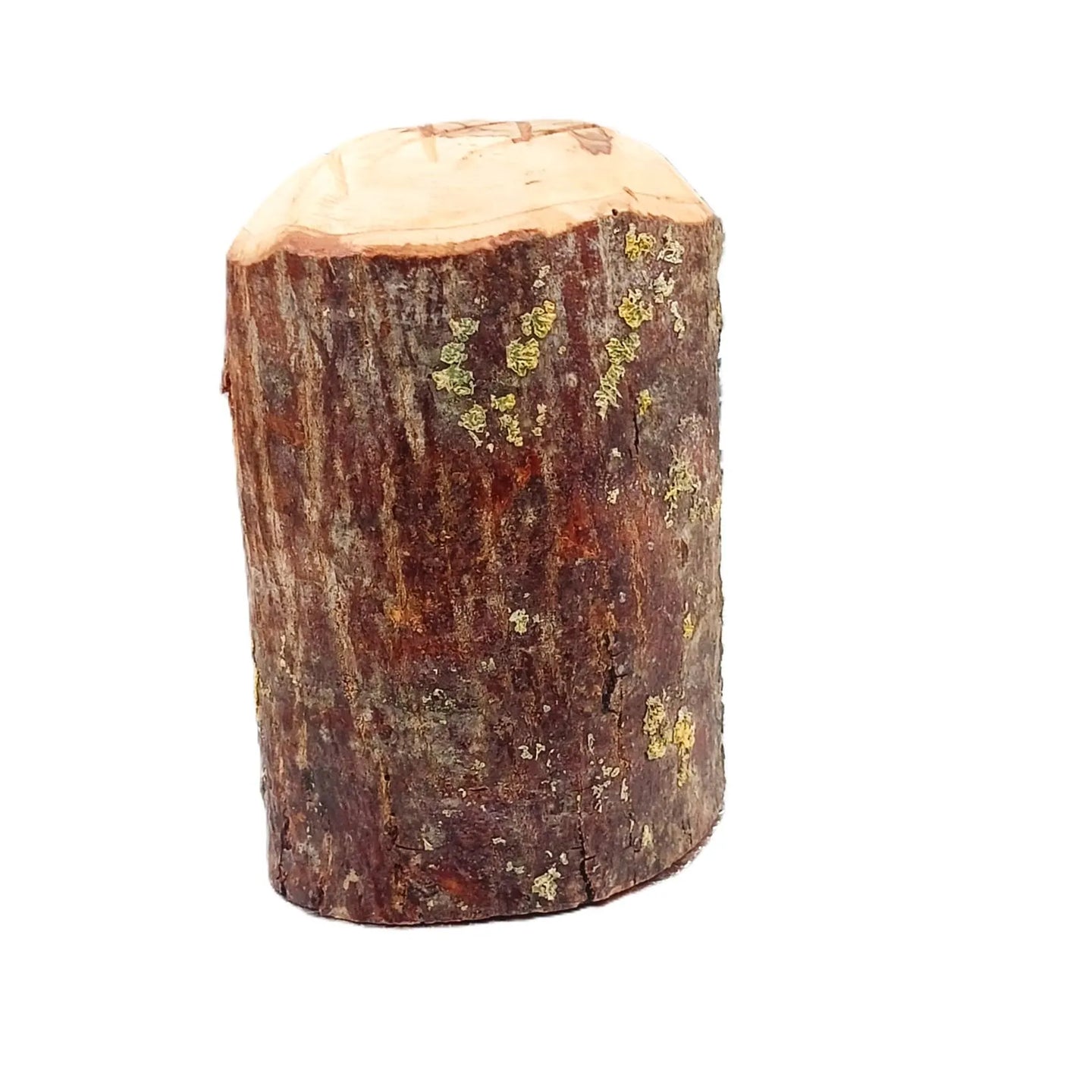 The Dark Natural Olive Wood Nativity Grotto miniature