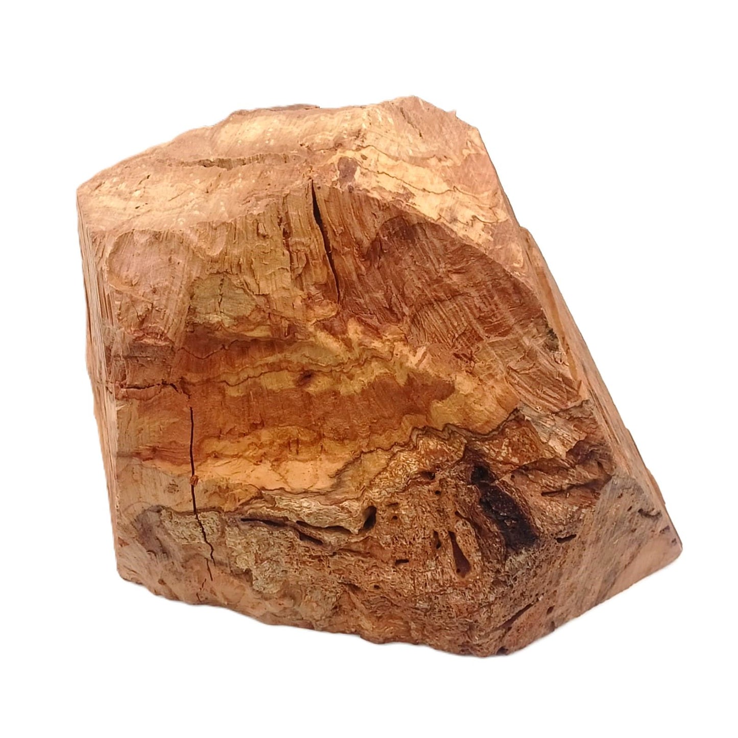 Olive Wood Nativity scene