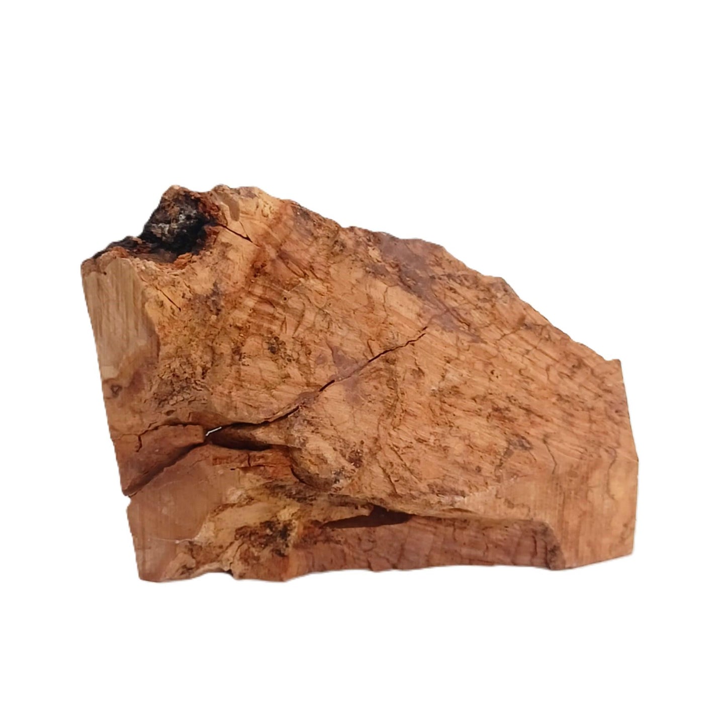 Olive Wood Nativity Scene Ornament – Hand-Carved Holy Family in Natural Log Setting