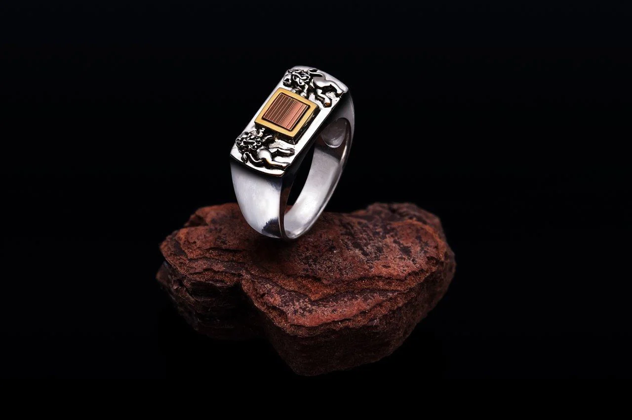 Lion of Judah Ring Silver & 9K Gold - Jerusalem Nano Bible Torah