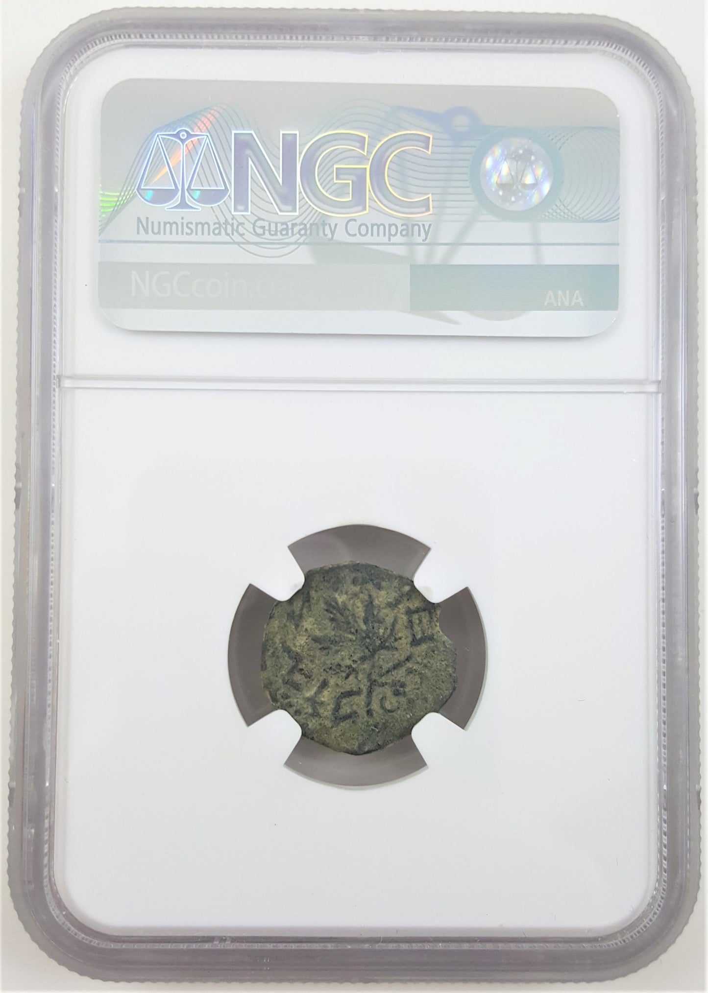 Bronze prutah of Judaea during the ill-fated first revolt in NGC slab. 2nd year, AD 67/68.(C)