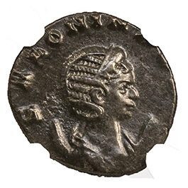 Roman AE Salonina (AD 253-268) NGC(XF)